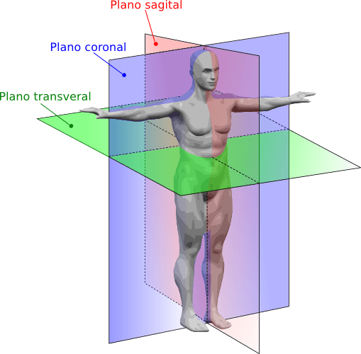 Plano Transverso