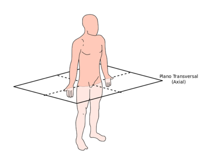 Plano Transverso