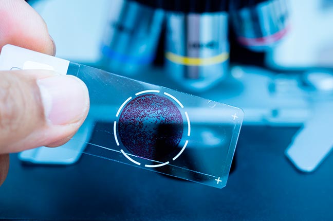Desvendando os Mistérios da Patologia: Entendendo as Doenças